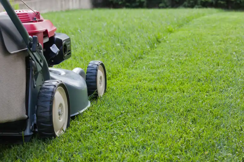 Outstanding Lawn Mowing Services in Antioch, CA 