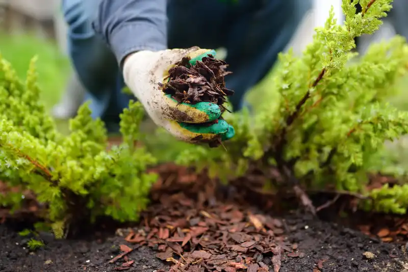 Professional Mulching Service in Antioch, CA 