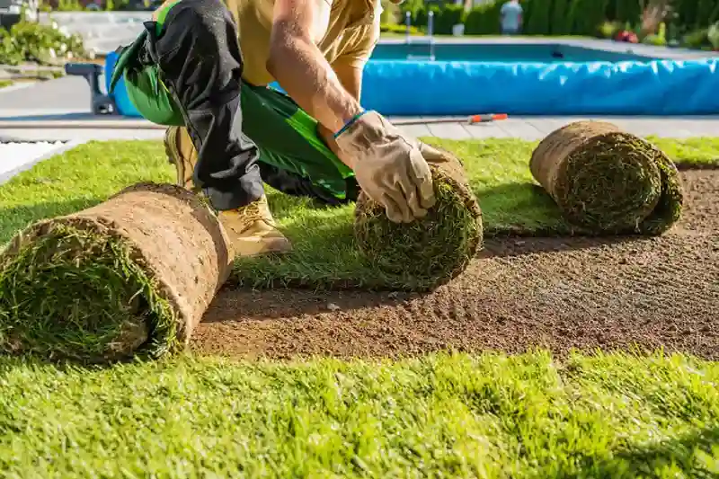 Reliable Sod Installation Service in Antioch, CA 