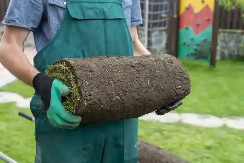 Sod Installation