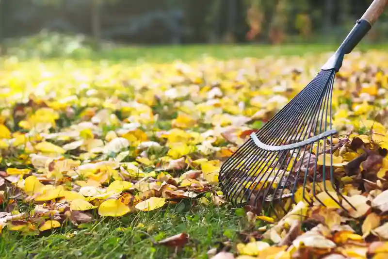 Outstanding Yard cleanup Service in Antioch, CA 