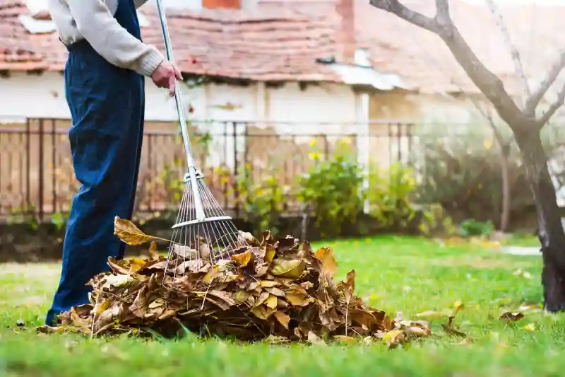 Reliable Yard cleanup Service in Antioch, CA 