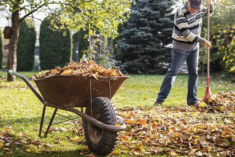 Professional Yard cleanup Service in Antioch, CA 